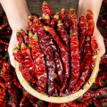 Precio al por mayor Chili rojo seco chino 100% natural